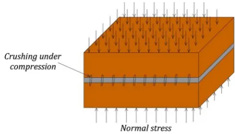 Fig. 4. Failure modes of the units: (a) direct tensile crack, (b) diagonal crack.