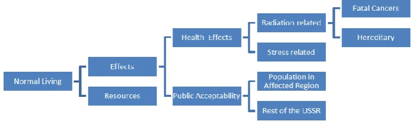 Figure 2: Final Attribute Hierarchy developed in the Summary Decision Conference 