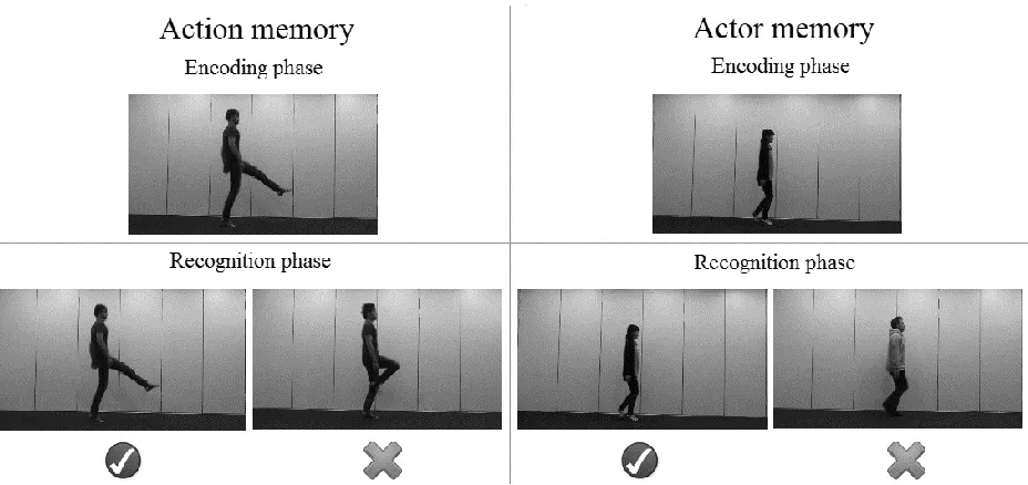 Figure 3. Still frames of videos shown in the encoding phase and recognition phase of the 