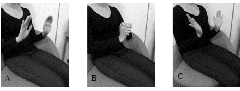 Figure B1. Three interactive gestures (Bavelas et al., 1992) used in the experiment. The gestures 