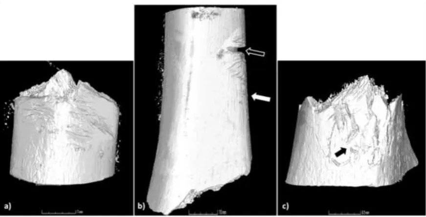 Figure 8: Different kerf characteristics observed on the samples. a) The deepest cut mark has an overall rectangular floor with a faint W-shape