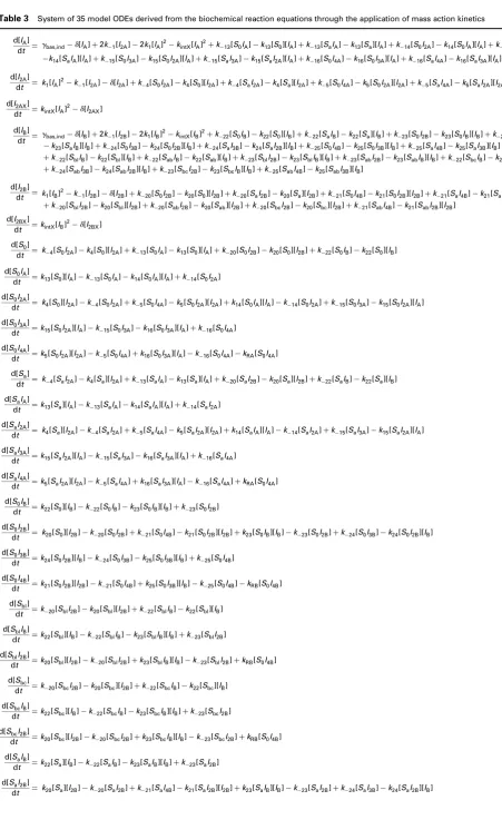 Table 3System of 35 model ODEs derived from the biochemical reaction equations through the application of mass action kinetics
