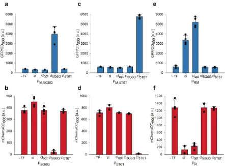 Figure 7. Dual activation and repression of engineered bidirectional λ P/PM promoters by selected cI variants