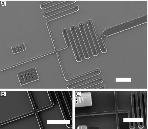 FIG. 5. Evaluation of SU8 features obtained using the UVLED. The scale bar of the SEM micrographs is 200 µm