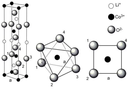 Figure 4. Octahedral arrangement of oxide ions around the Co3+ ion and section of 