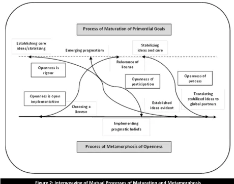 Figure 2: Interweaving of Mutual Processes of Maturation and Metamorphosis 