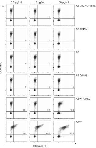 Figure 3 pMHCI binding speciﬁcity is compromised at a deﬁned pMHCI/CD8 afﬁnity threshold in A2– donors
