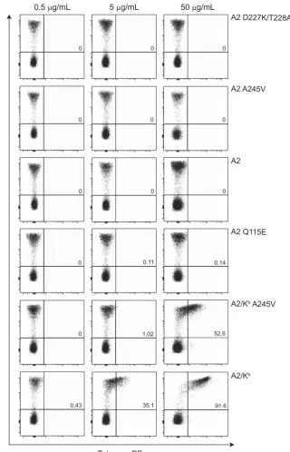Figure 4 pMHCI binding speciﬁcity is compromised at a deﬁned pMHCI/CD8 afﬁnity threshold in A2+ donors