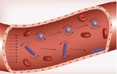 Fig. 9. Effect of nanoparticle morphology on the margination towards the outside walls of the blood vessel