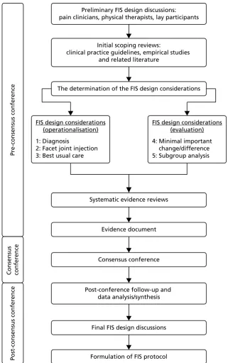 FIGURE 1 Facet Injection Study protocol development process. Adapted with permission from Mars et al.26