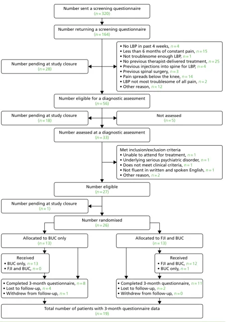 FIGURE 4 The Consolidated Standards of Reporting Trials (CONSORT) chart.