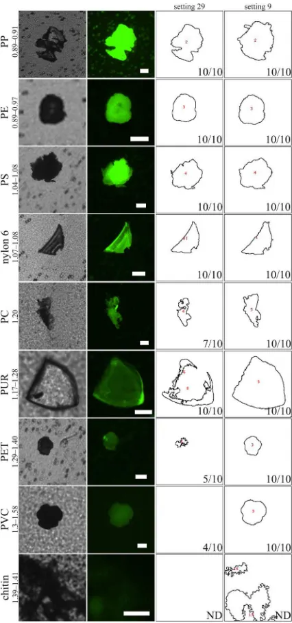 Figure 1. Microscope and ImageJ images of microparticles of different polymer types on PCTE filter membranes stained with Nile red