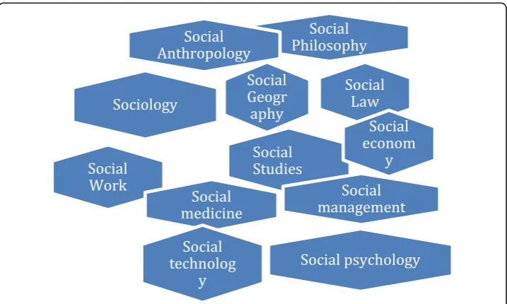 Fig. 4 Hierarchy of disciplines