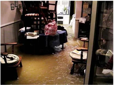 Figure 6. Screen capture from a home video, July 2007: floodwater surges through the kitchen and living room of his (Setting 1) house.Source: Jeff Clarke