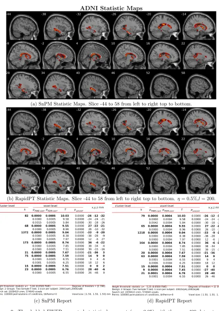 Figure 9: Thresholded FWER corrected statistical maps at (α = 0.05) with the n = 400 dataset