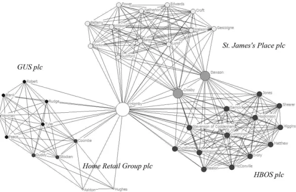 Figure 1. Example of a CEO’s professional network   
