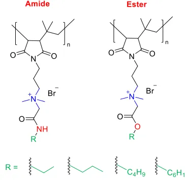 Fig. (16). Poly(vinyl ether)s containing amine and isobutyl functionality in either block or random sequence 