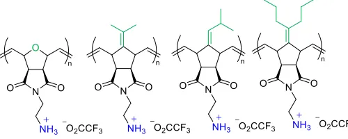 Fig. (5). Same-faced, separate centre (A); same-faced, same centre (B) and opposite-faced (C) poly(norbornene)s  