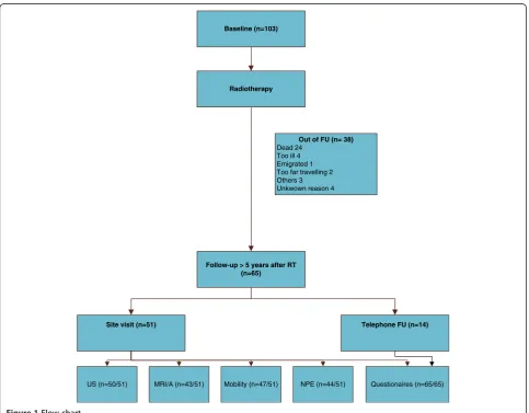 Figure 1 Flow chart.