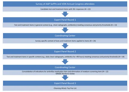 FIGURE 1Methodology for the development of the Choosing Wisely Top Five list for newborn medicine