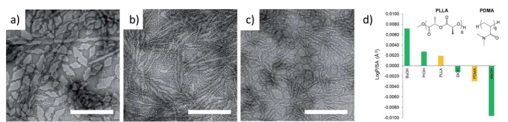 Table 1Characterization of block copolymers PDMAn-b-PLLAm