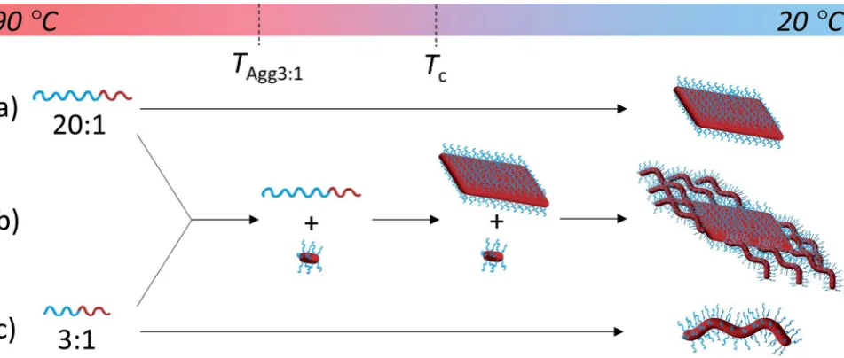 Fig. 3TEM micrographs of PDMA50 : 50 and (c) 75 : 25, self-assembled in ethanol at 90Scale barm-b-PLLA48 blends of block ratios 20 : 1 (m ¼ 1000) and 3 : 1 (m ¼ 150), at blending ratios of (a) 25 : 75, (b) �C for 8 h and cooled to room temperature