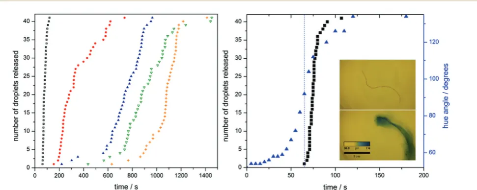 Fig. 1Synthesis and action of composite fibres. Left (i): Formation of calcium ion cross-linked sodium alginate fibres using a microfluidic synthesis.A fluid stream of sodium alginate solution (1 wt%) containing oil droplets meets a bulk solution containin