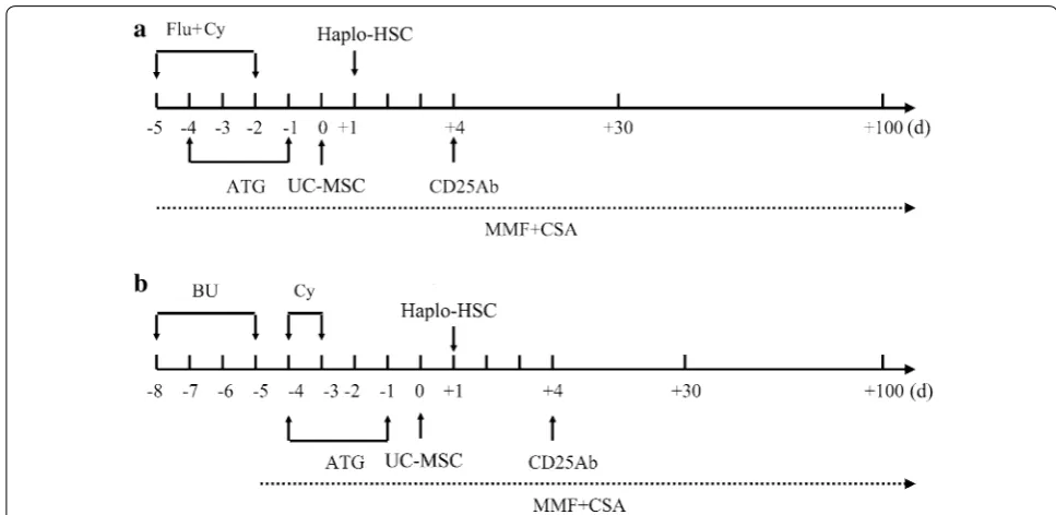 Fig. 1 The schematic diagram of conditioning regimen and prophylaxis and management of GVHD