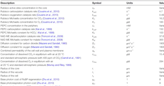 Table 1. Parameter values used for modelling C4 photosynthesis at 20 °C