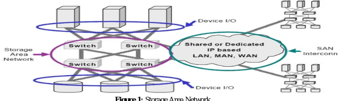 Figure 1: Storage Area Network 