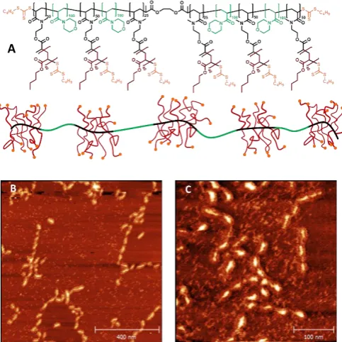 Figure 3: Schematic representation and SEC analysis for the grafting from of pentablock side to synthesise compound 15