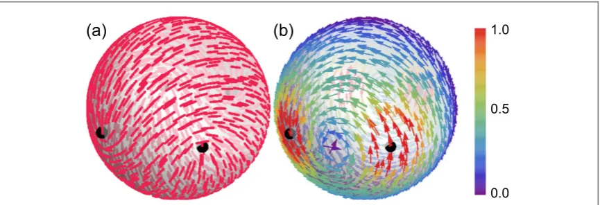 Figure 1. (equationHere, and in all subsequenta) Orientation ﬁeld P with four +1/2 defects in a paired planar conﬁguration