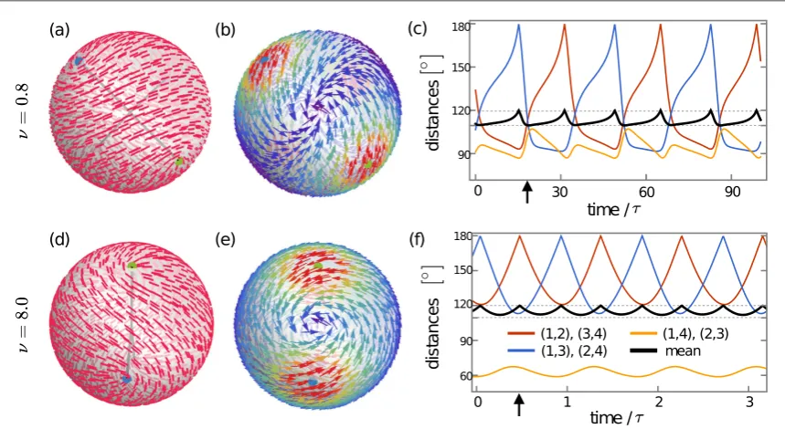 Figure 2. The dynamics of fourtime marked with arrow indefect pairs are tightercorrespond to( +1/2 defects is characterised by the formation of counterrotating ﬂow vortices and defect pairs
