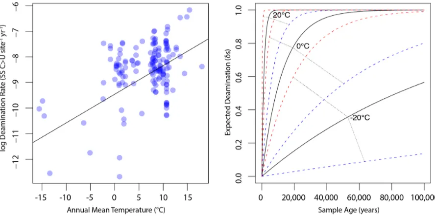 Figure 3. Expectations of deamination over time for variable temperatures. Left: density-weighted linear regression of temperature and log deaminationrate calculated using the formula rate = ln (1/(1−δs)) * (1/age)