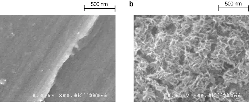 Fig. 1. Images of aluminum plate surface obtained by scanning electron microscope (a) without and (b) with hot water treatment