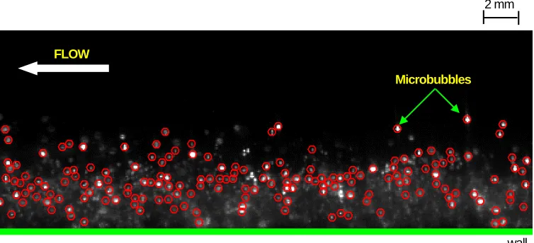 Fig. 9. Typical image for bubble centroid detection using particle mask correlation method