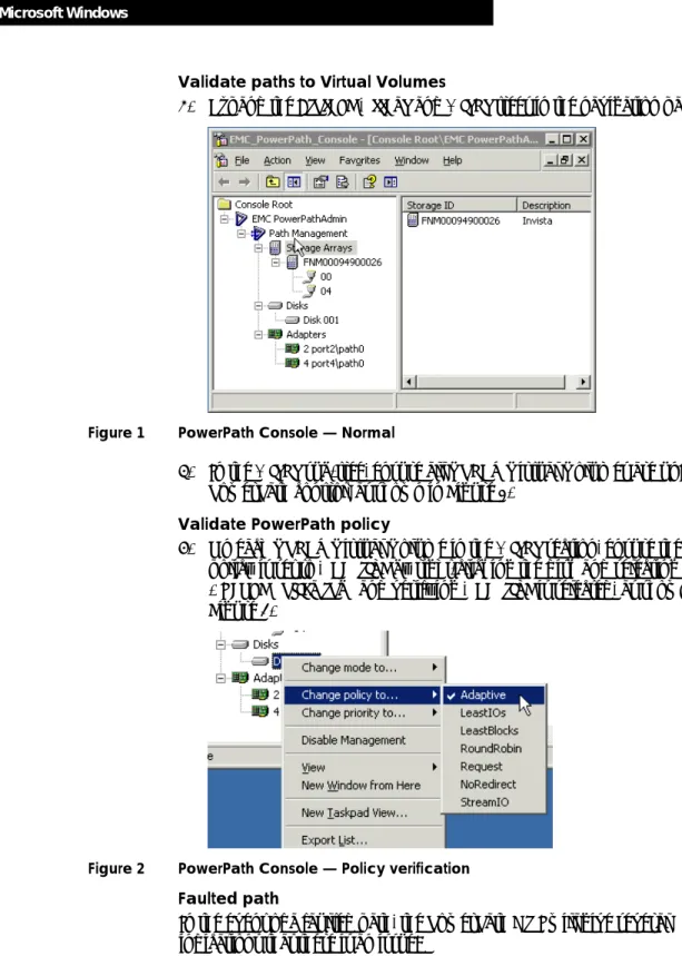 Figure 1  PowerPath Console — Normal 