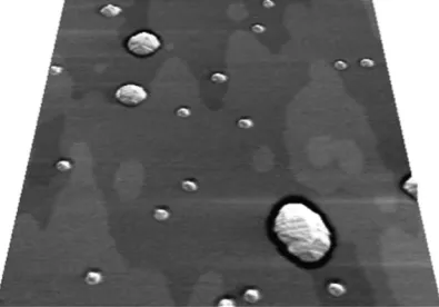 Figure 1. A 1 μm × 1 μm typical AFM image from an intermediate growth rate sample (3.58 × 10−3 ML s−1) rendered in 3D