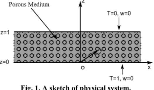 Fig. 2. Convection due to a heated bottom. 