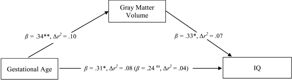 Fig 2. Regional differences of gray matter volume. Significant difference of GMV A) Contrast between children born24–27 completed weeks’ gestation and term born children showing significantly decreased cortical GMV in one cluster inthe right middle and sup