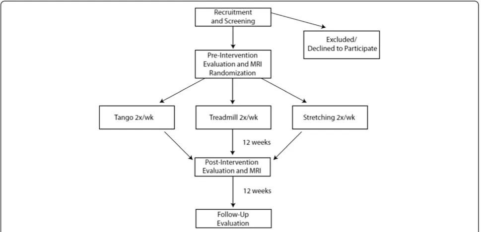 Figure 1 Diagram showing the flow of participants through the study.