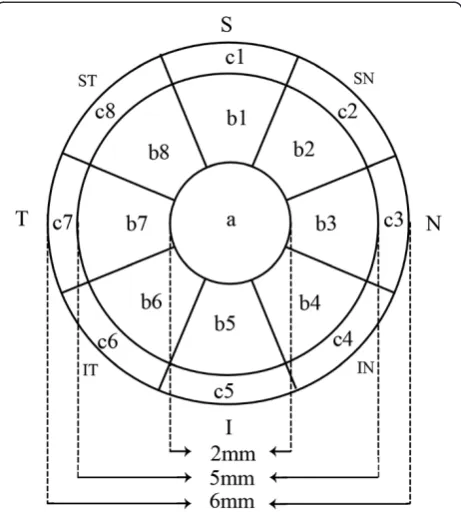 Figure 1 Pachymetry map of the corneal and epithelial thicknessesof 17 regions of the central 6 mm