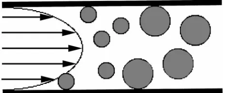 Figure 11Schematic representation of the HC separation prin-ciple. Larger particles are excluded from the wall and can freelymigrate only in a part of the volume of the capillary column