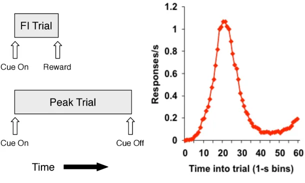 Figure 1: Peak procedure.Left: Schematic of ﬁxed-interval (FI) and peak trials.Right:Response rate averaged over peak trials for one rat subject (data from [21])
