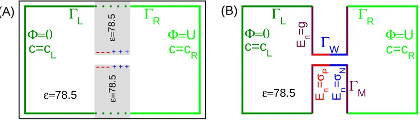 FIG. 1: Geometry of computation domain (A) in the NP+LEMC system and (B) in the PNP system