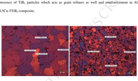 Fig. 4.ACCEPTED Polarized optical microstructure of as cast (a) Al-4.5Cu alloy (b) Al-4.5Cu-5TiB2 