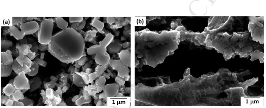 Fig. 5.ACCEPTED FESEM Electron backscatter image showing the particle clusters in Al-4.5Cu-5TiB2