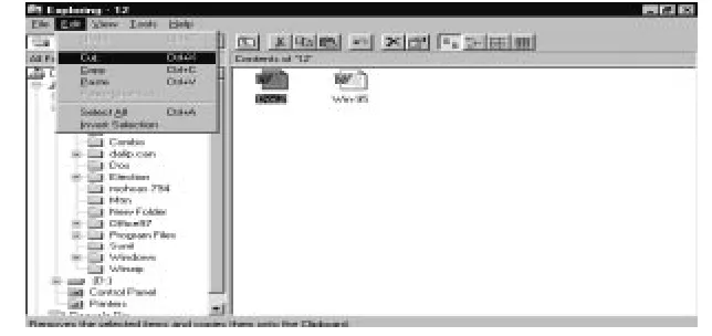 Fig. 2-8 : Copy a File or FolderIf you want to select more than one file or folder to copy, hold down the CTRL key, and then click your desired items (one