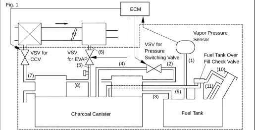 Fig. 1ECM