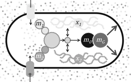Fig. 1 Schematic representation of the model described by the system (8) for the case n = 2